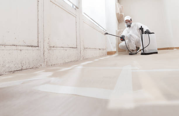 24/7 Emergency Black Mold Removal experts in Jessup, PA